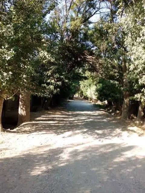 زمین چهاردیواری سنددار شهرک برند الهیه