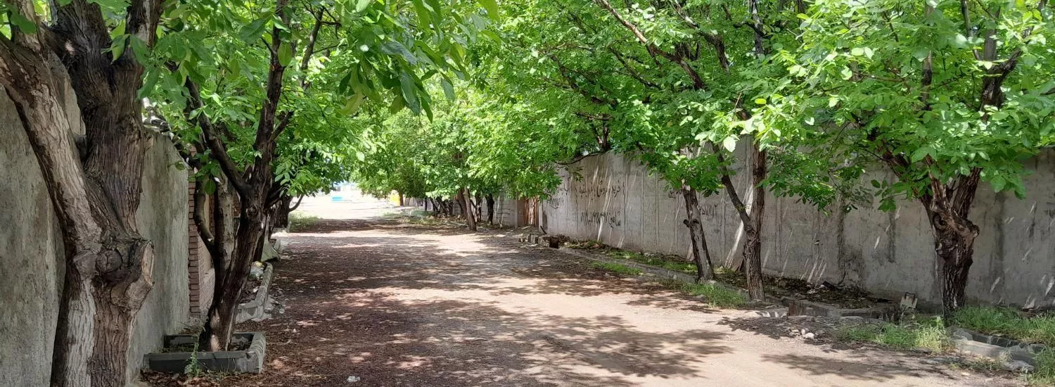 باغ ۳۰۰ متری با درختان مثمر