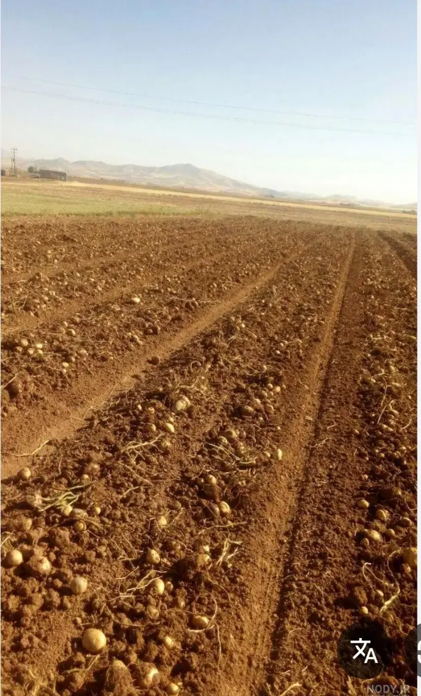 زمین کشاورزی۷ هکتار با آب ۴ اینچ ۱۸ ساعت
