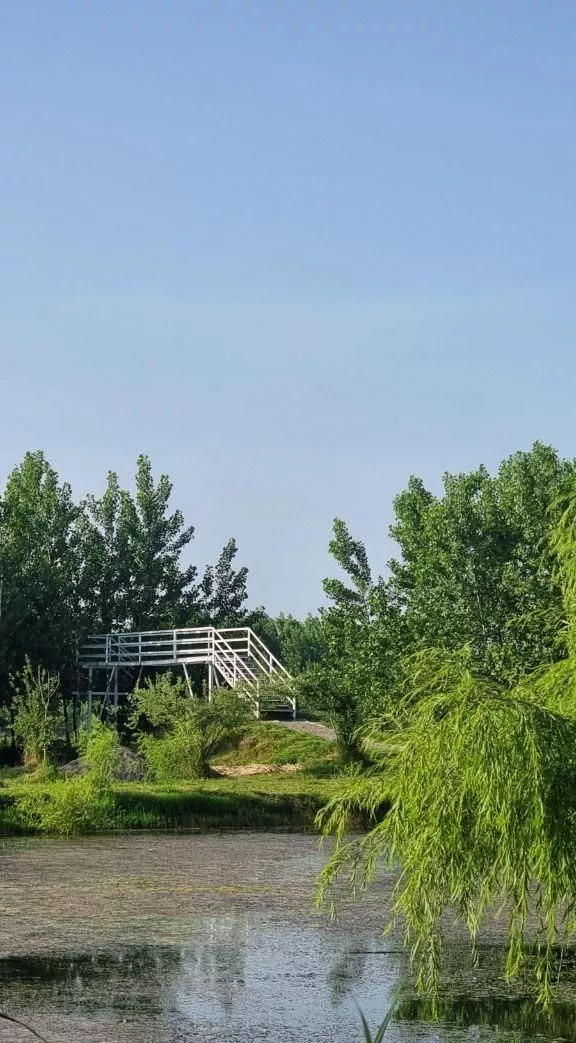 ویلای چوبی درموقعیت چهارفصل_کناررودخانه