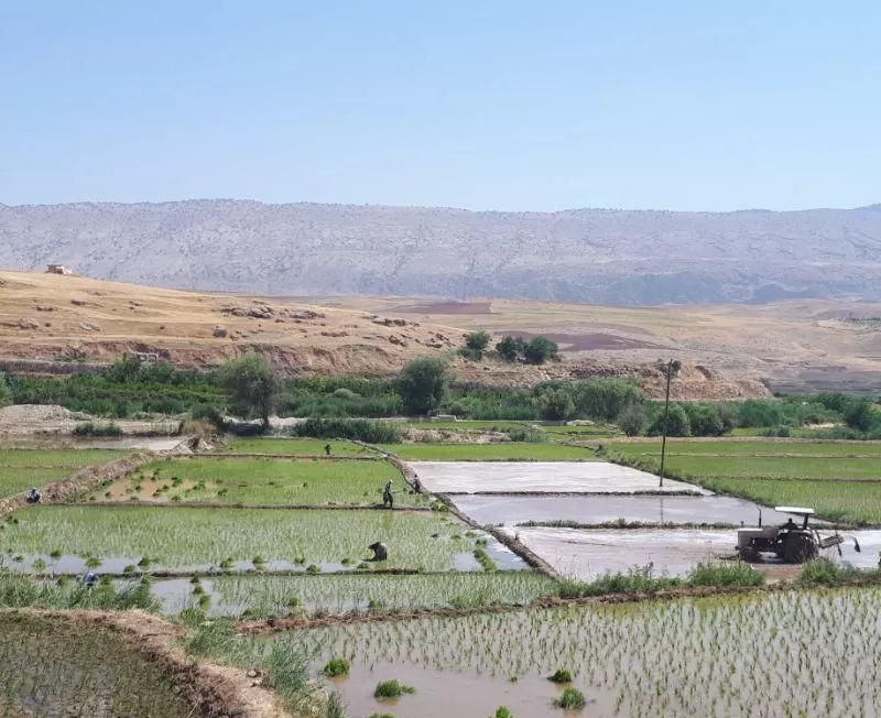 زمین کشاورزی آبی واقع در روستای سرابکلان