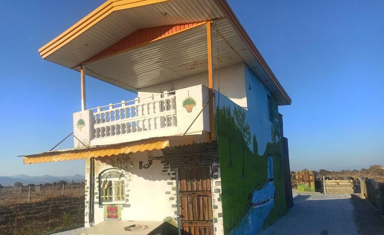 باغ انگور یک هکتار در تاکستان