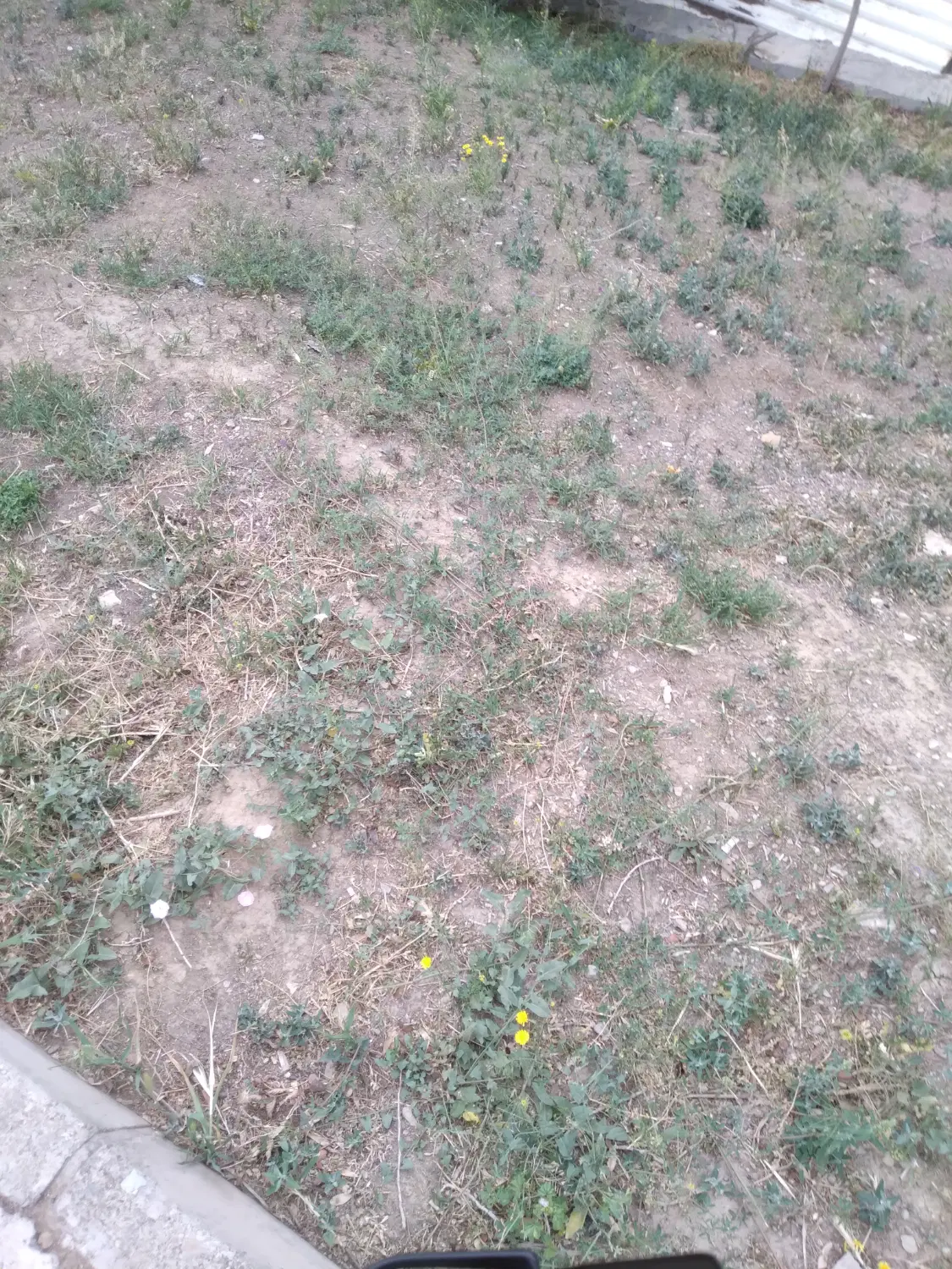 زمین مسکونی مناسب ساخت معاوضه