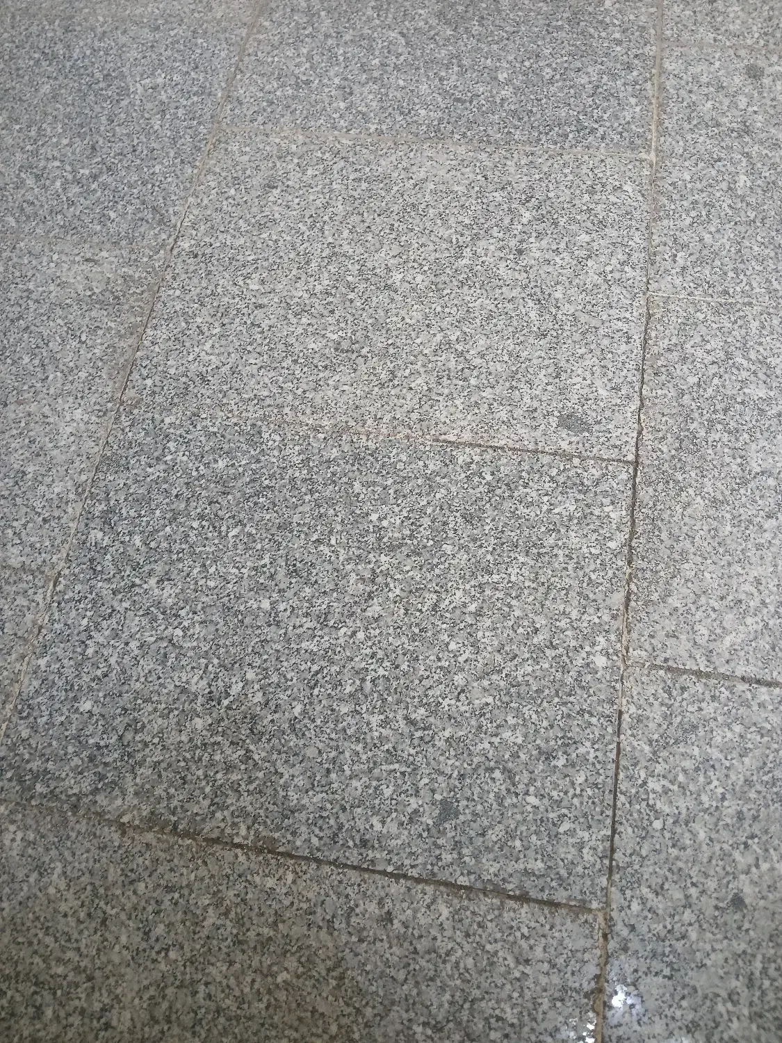 ۵۳ متر_بر بزرگ_دارای سرویس بهداشتی
