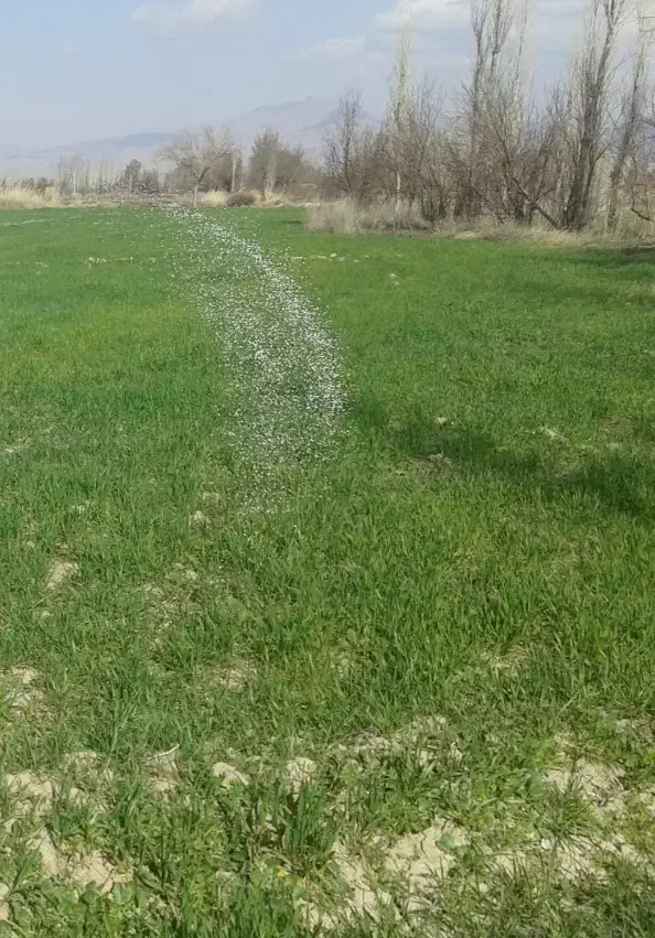 فروش زمین کشاورزی جهت گلخانه