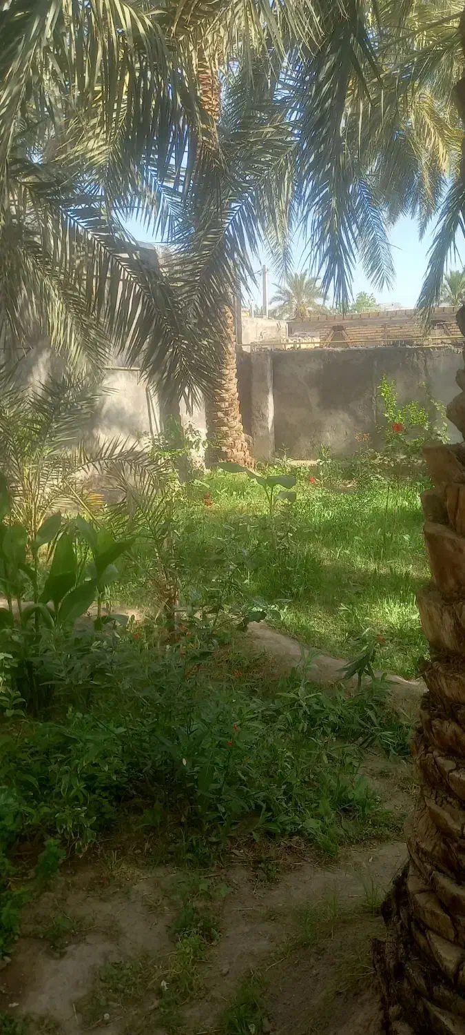فروش خانه باغ دربم