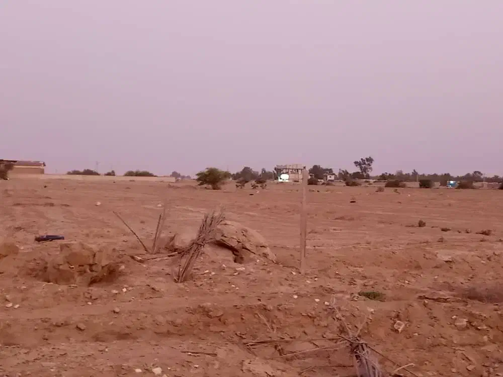 زمین