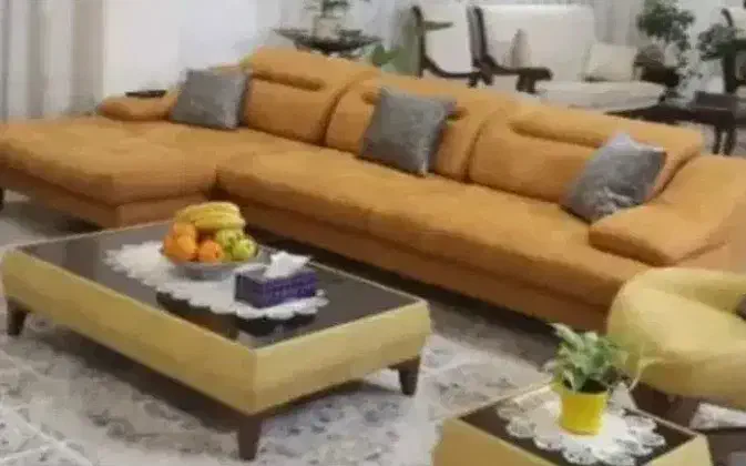 هم خونه خانم