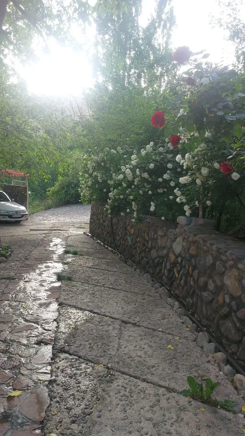 اجاره باغ وبلا