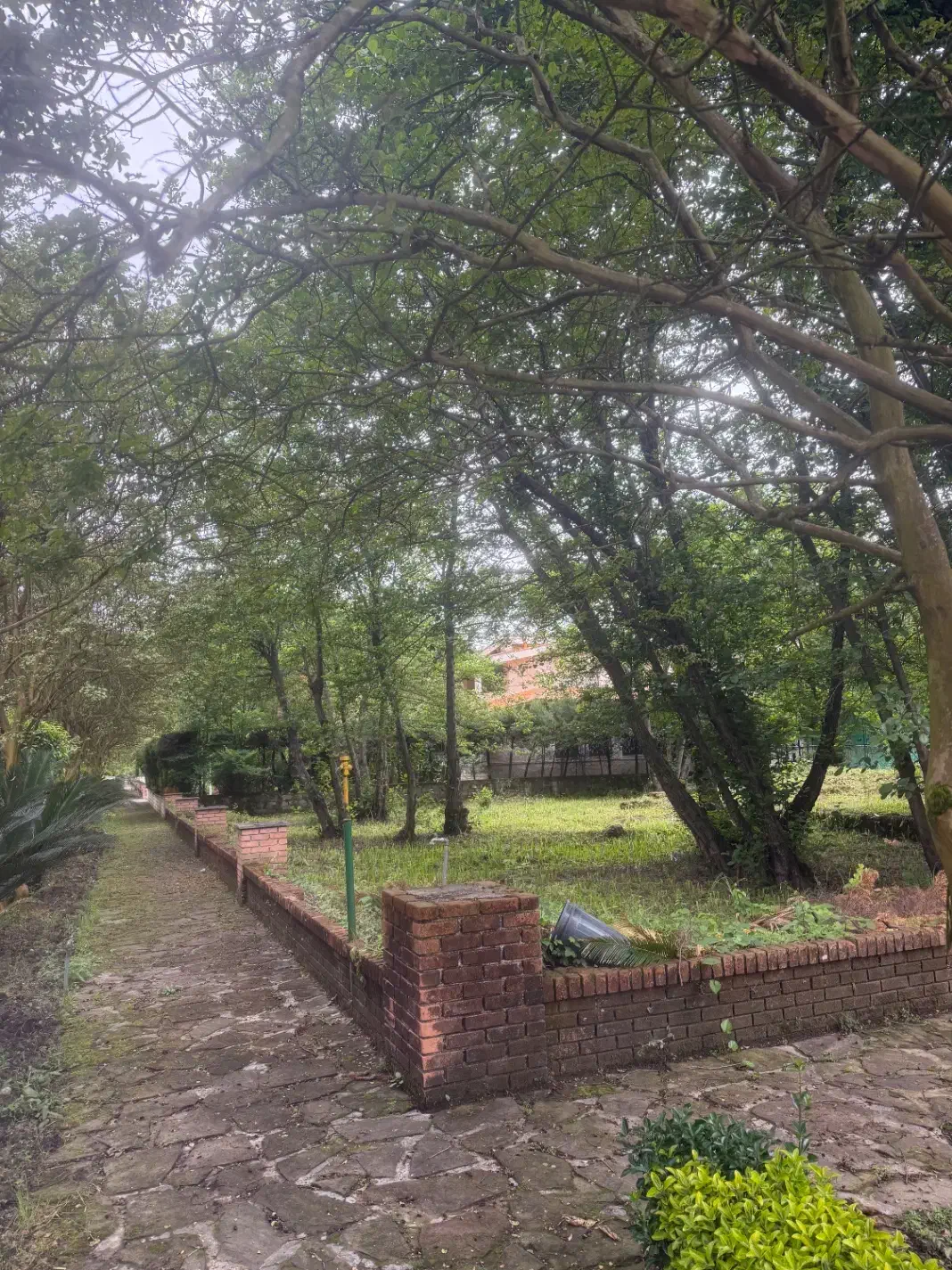 زمین ۸۰۰ متری نمک ابرود