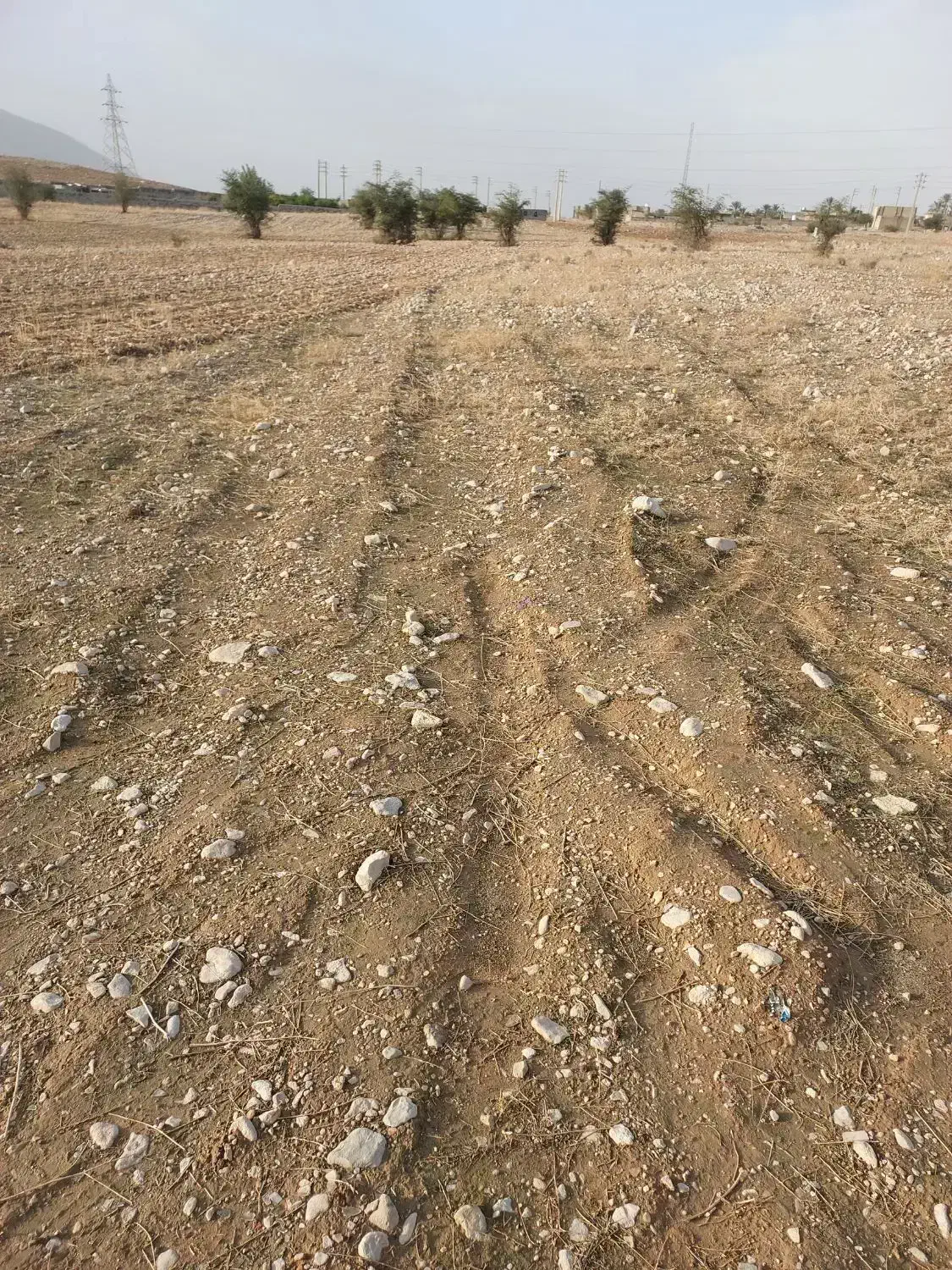 زمین