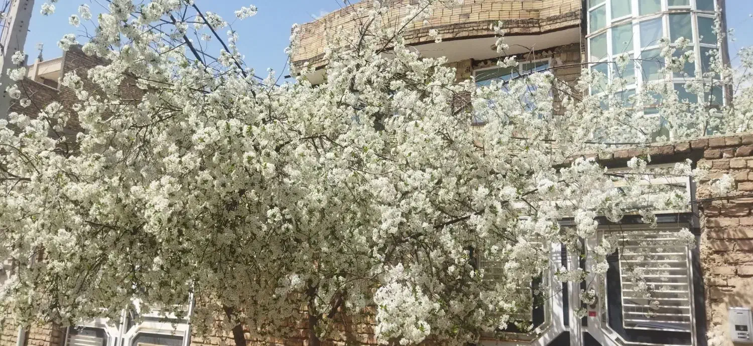 رهن کامل یک واحد مسکونی