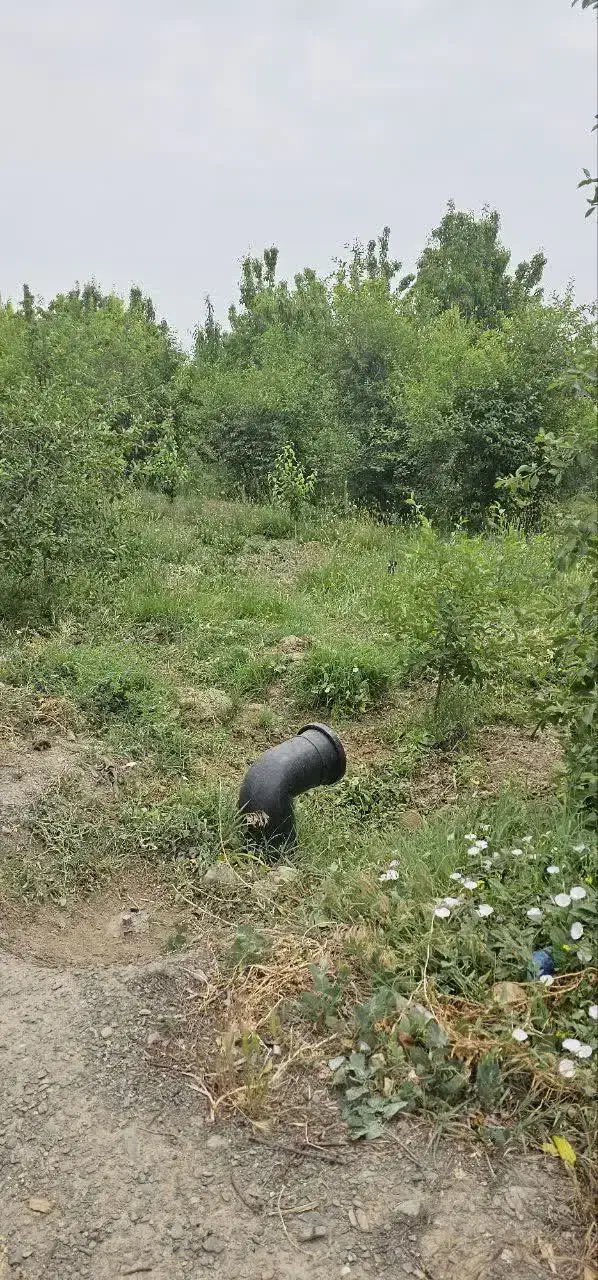 باغ گلمکان