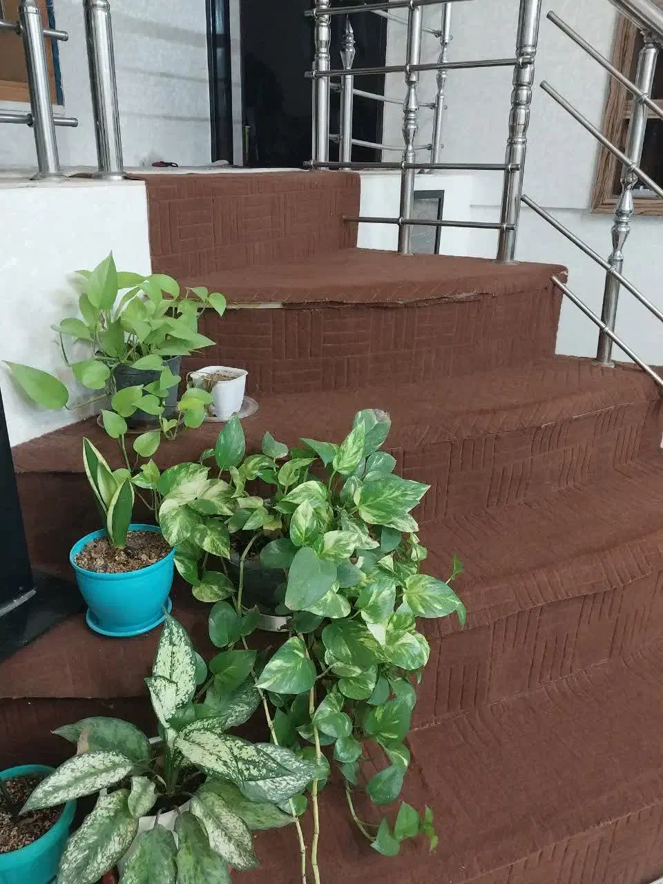 اجاره خانه ویلایی