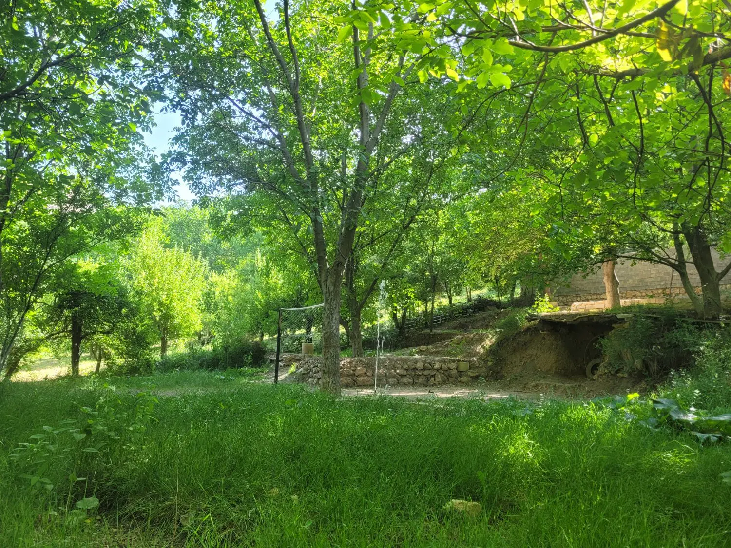 باغ کهکران