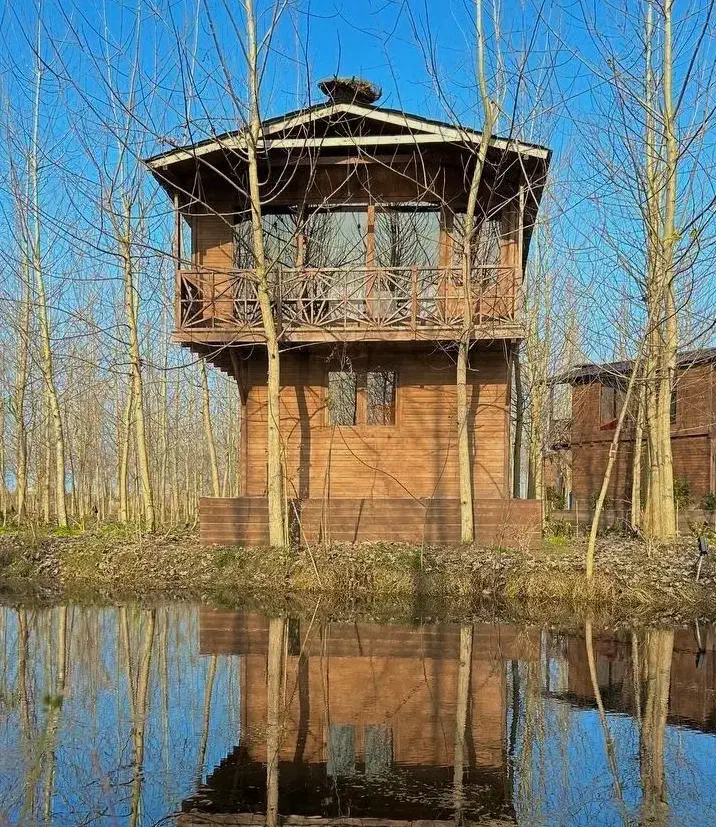 ساخت شاهکار معماری چوبی