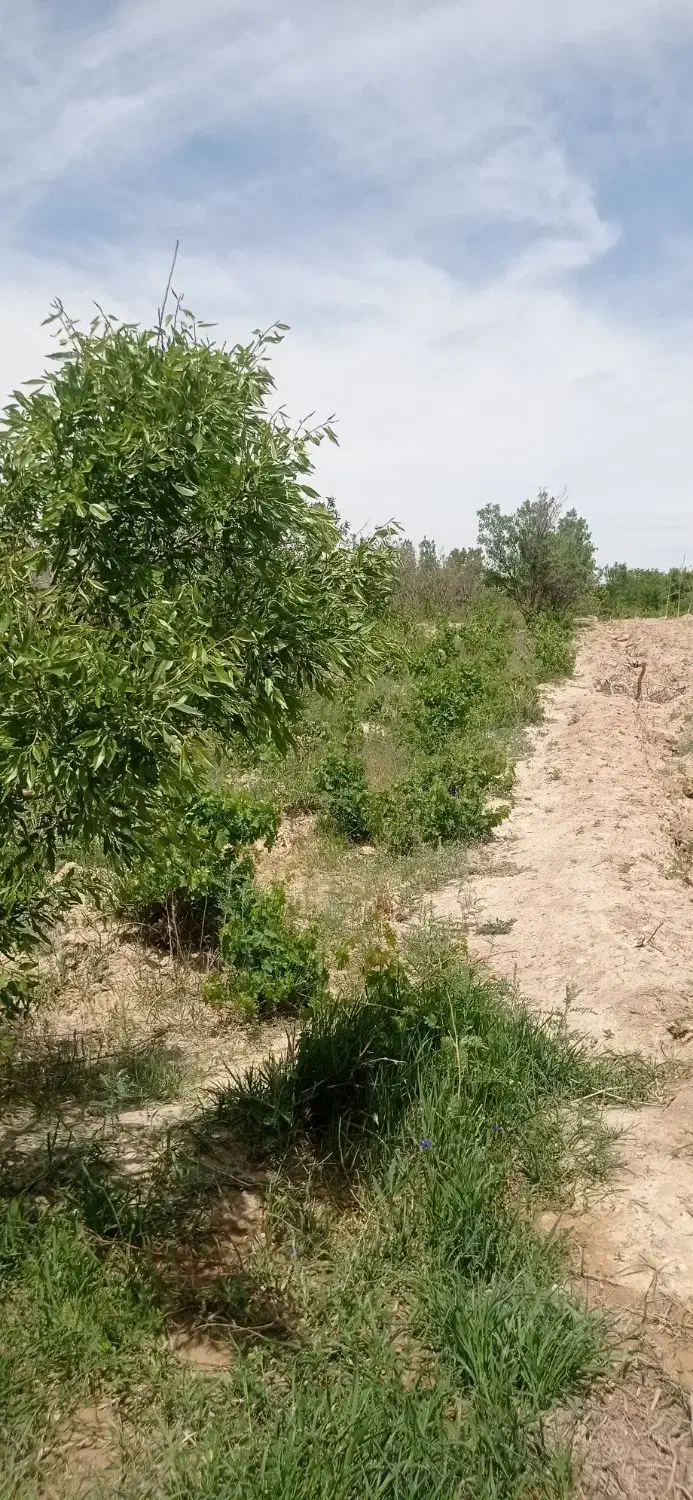 باغ بوانات جیان