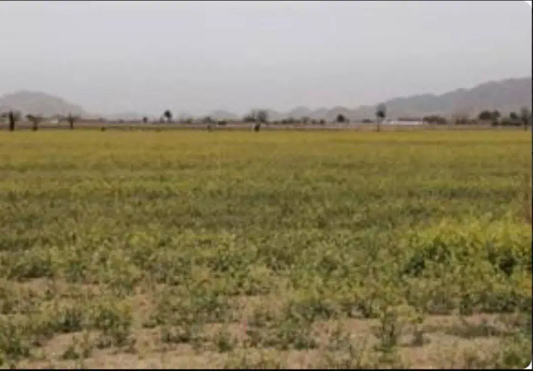 زمین به شرط تفکیک