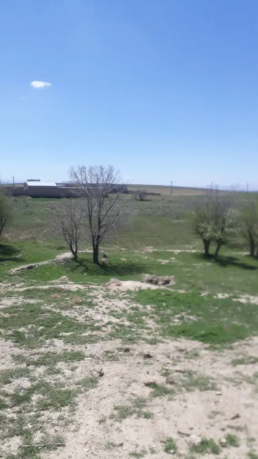 زمین مسکونی و باغ