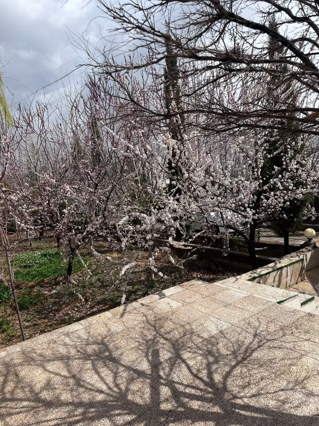 باغ تکمیل چشمه ساران
