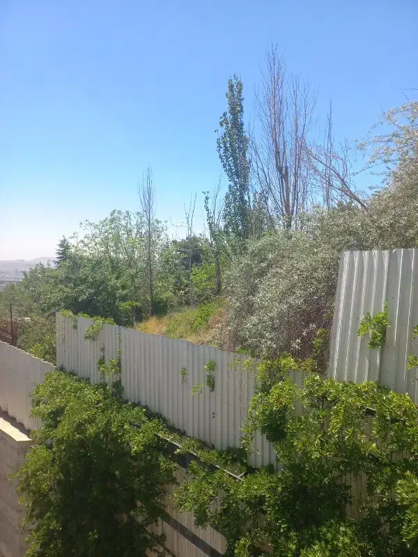 زمین هاشم اباد ۱۰۸ متر