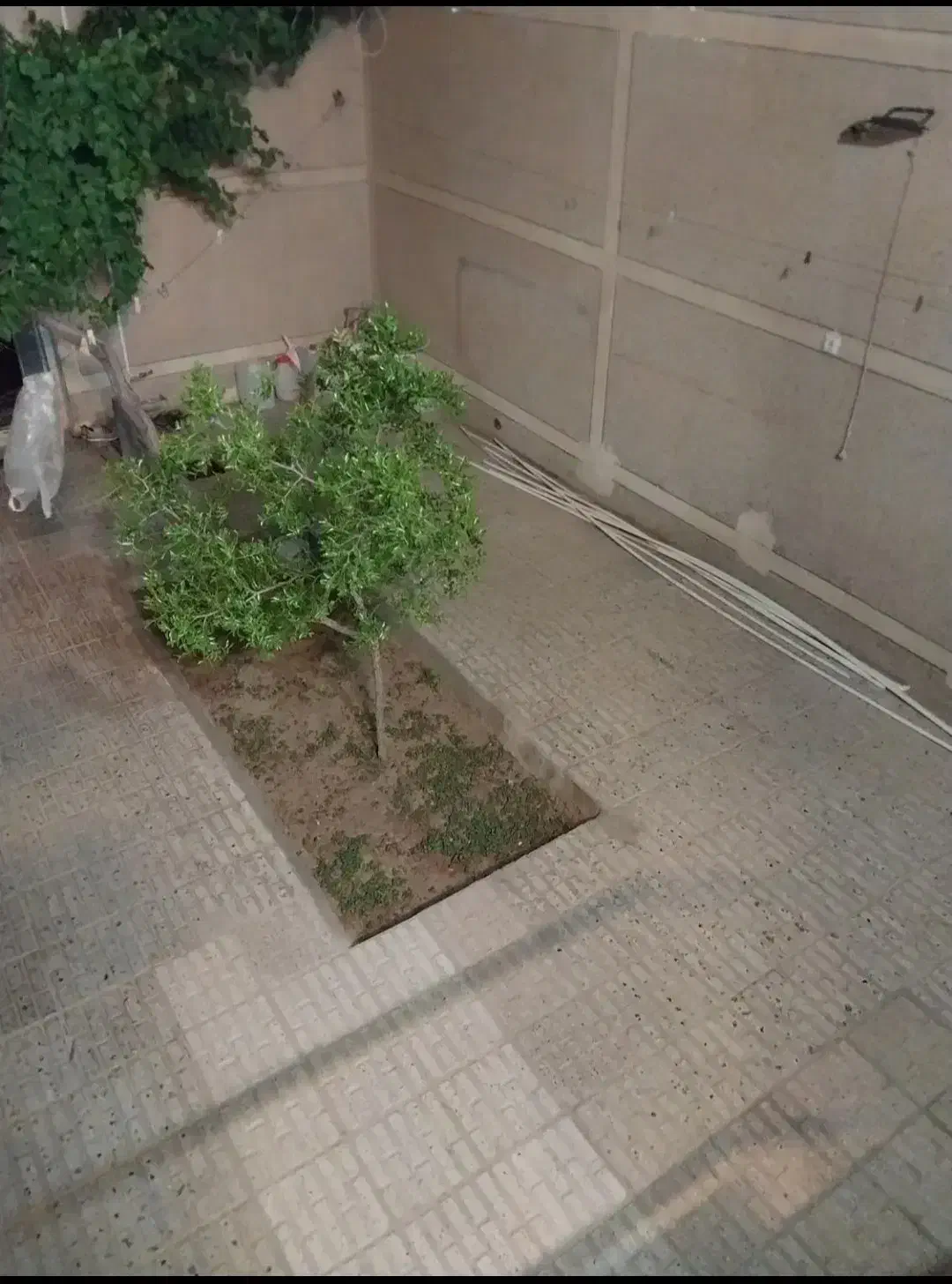 ویلایی معلم