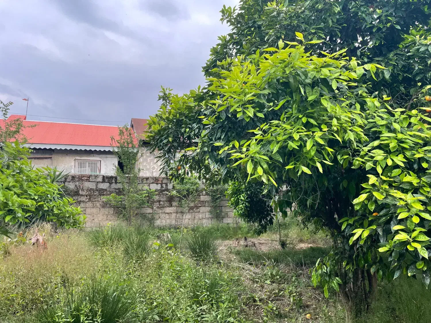 زمین سند دار  جمعه بازار(تولم شهر)