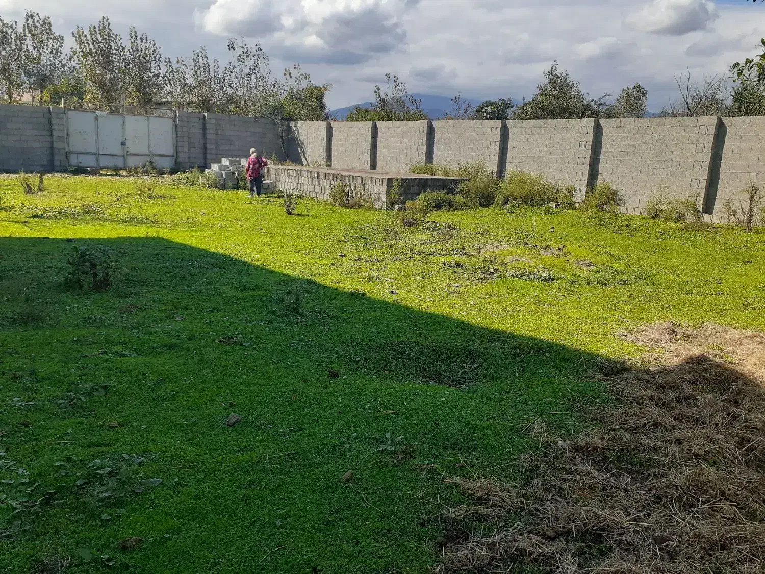 زمین به مساحت ۶۱۰متر سند تک برگ باغبانان