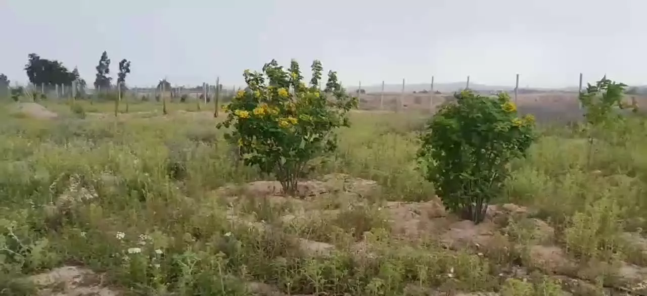 زمین باغ ویلا