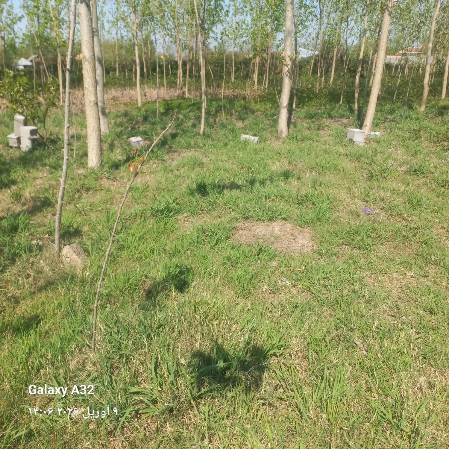 زمین کشاورزی
