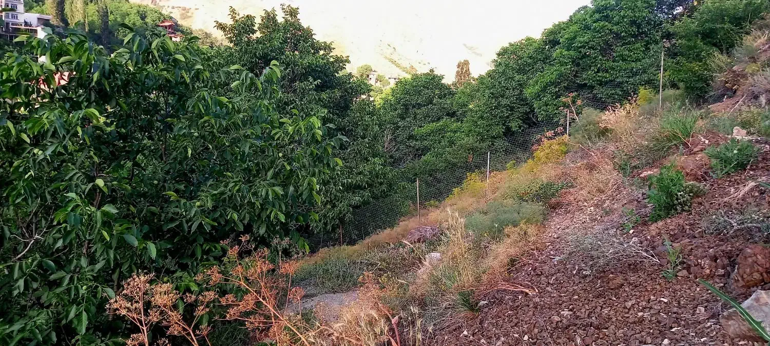 زمین آهار