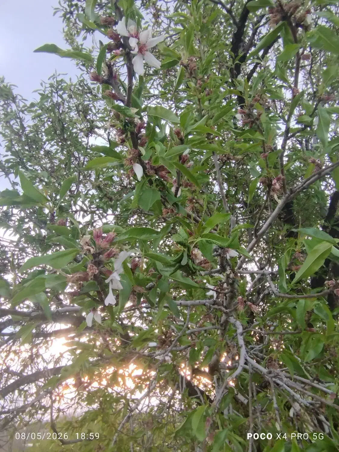 باغی به متراژ۸۶۰ متر۲۷۰ملیون