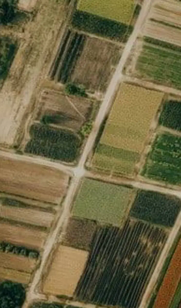 زمین کشاورزی