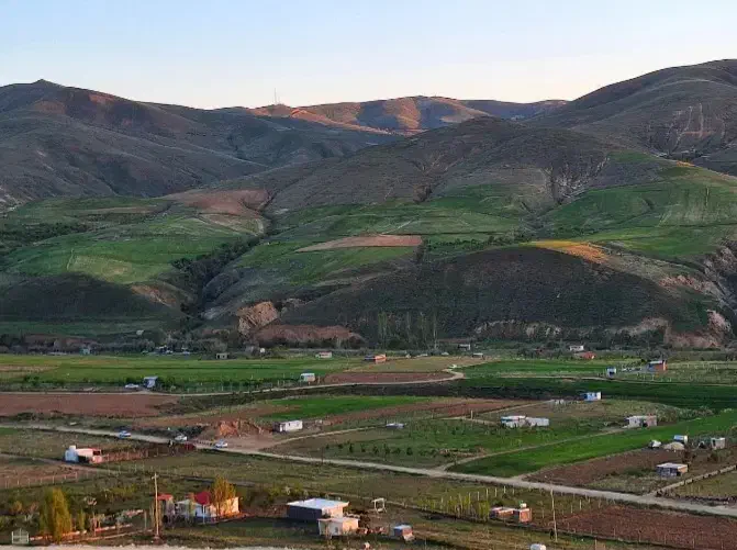 زمین دیم