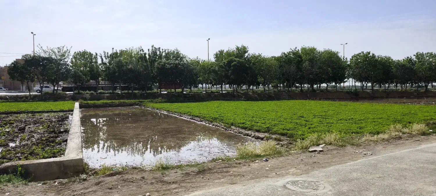 فروش زمین