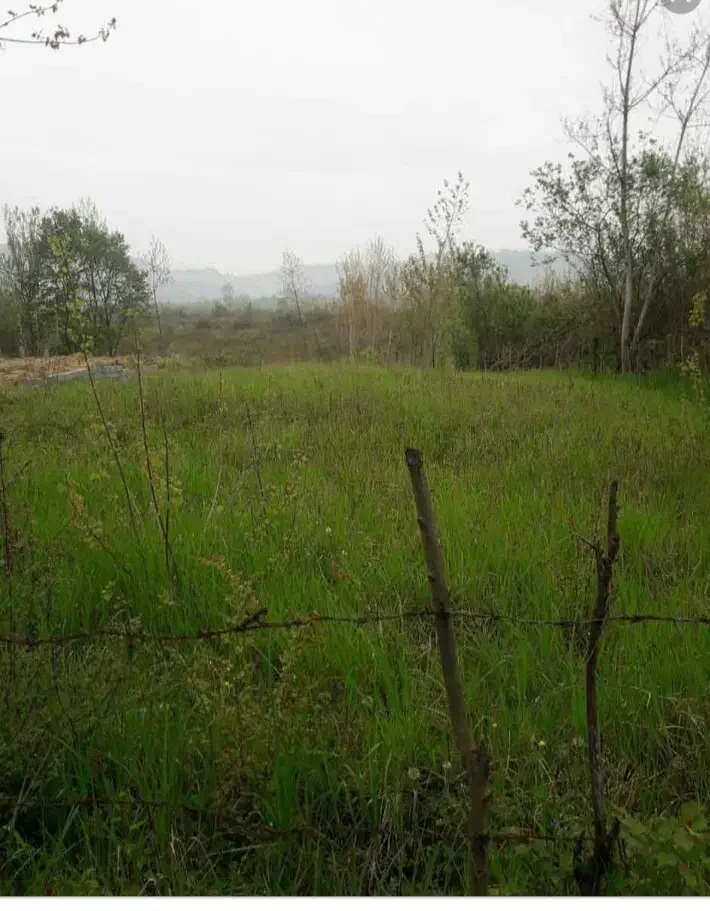 فروش زمین سند دار مسکونی رشت روستای پاشاکی