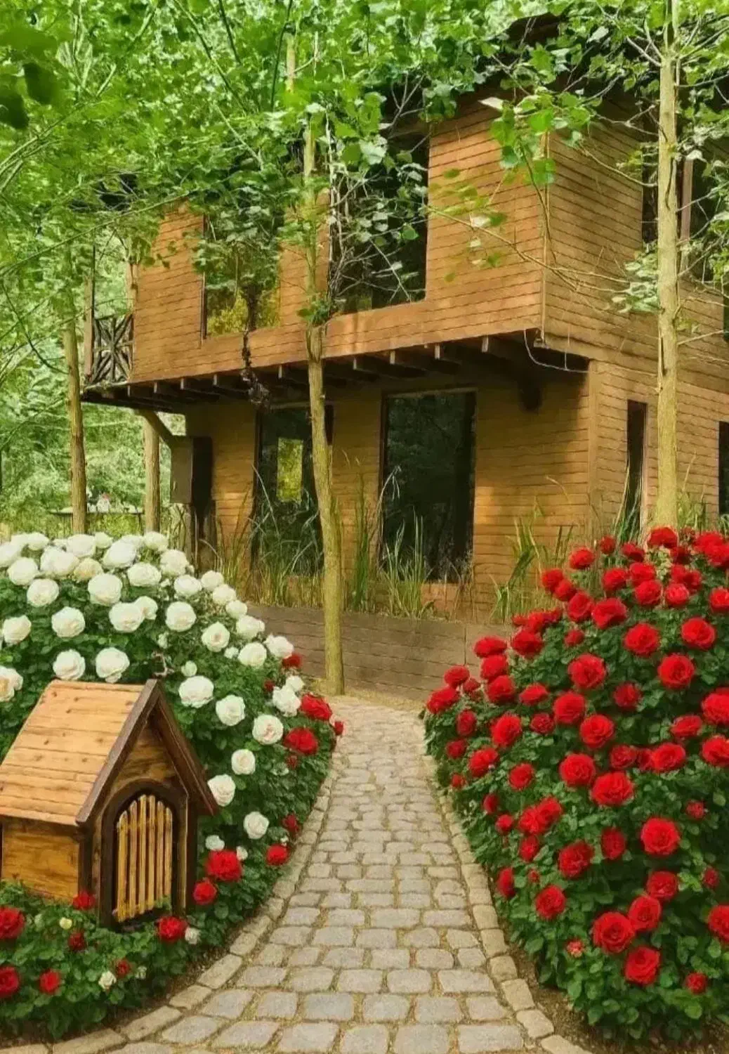 بدون واسطه خرید کن