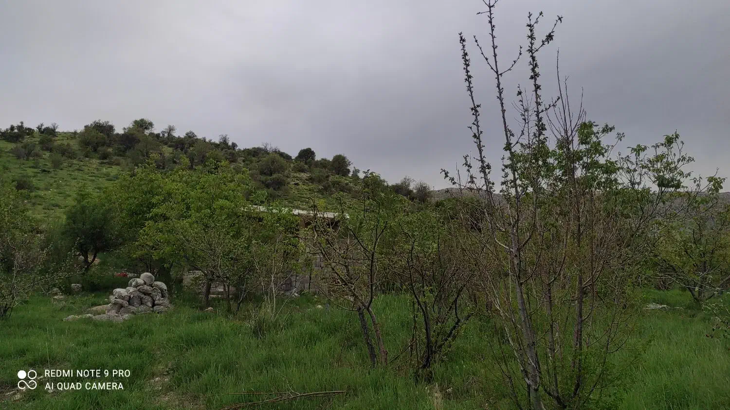 خونه باغ  2 هزار متری یاسوج