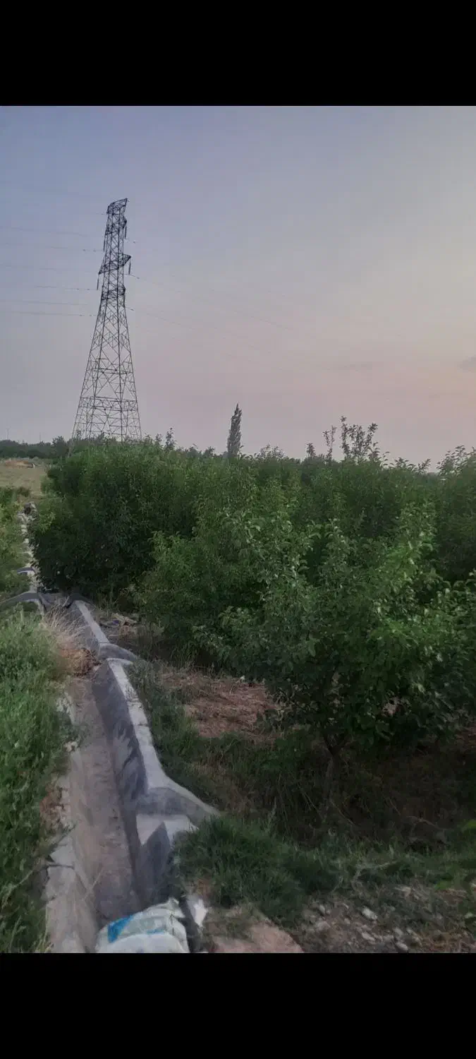 باغ الو