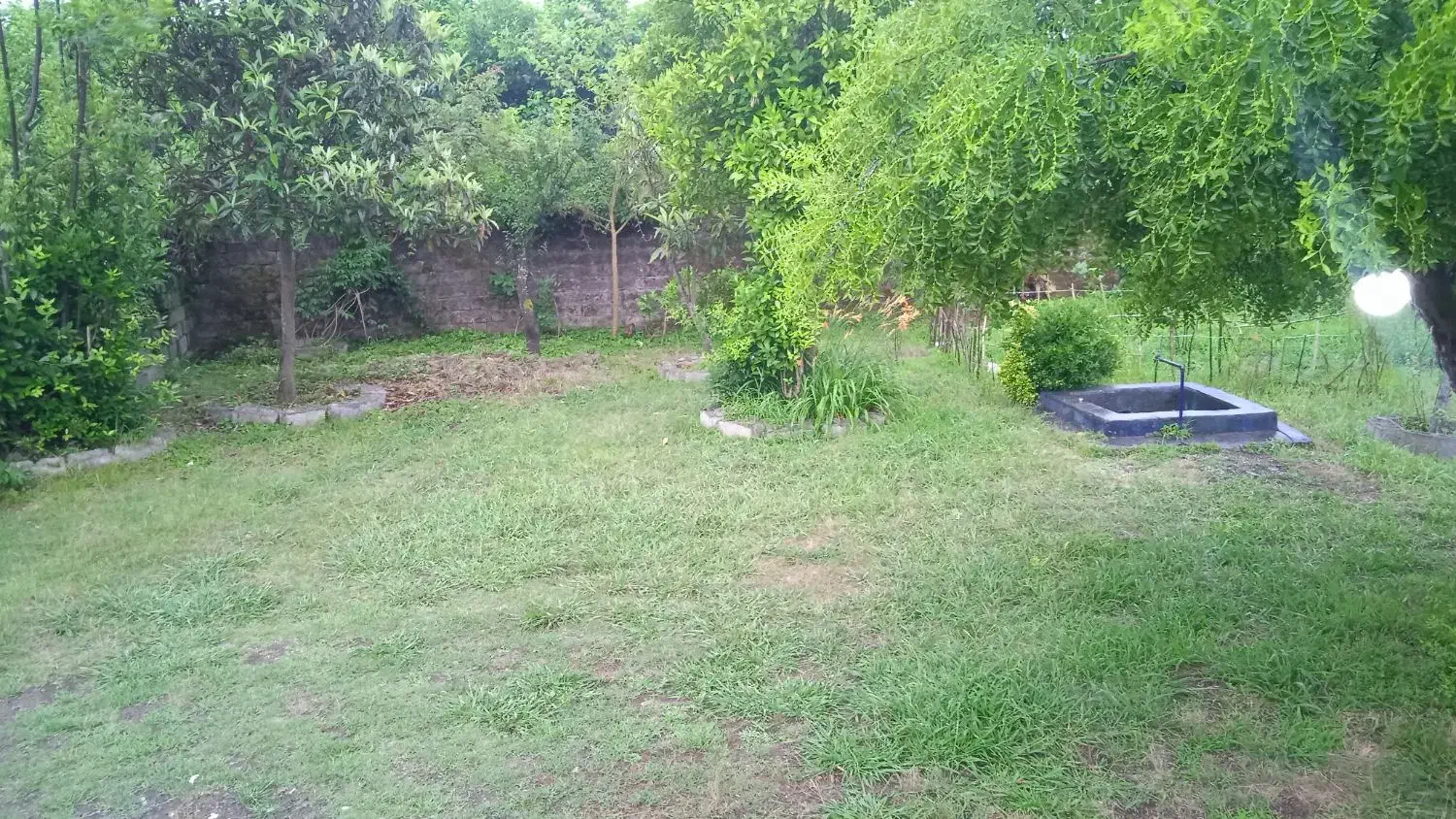 سویت نزدیک به ساحل