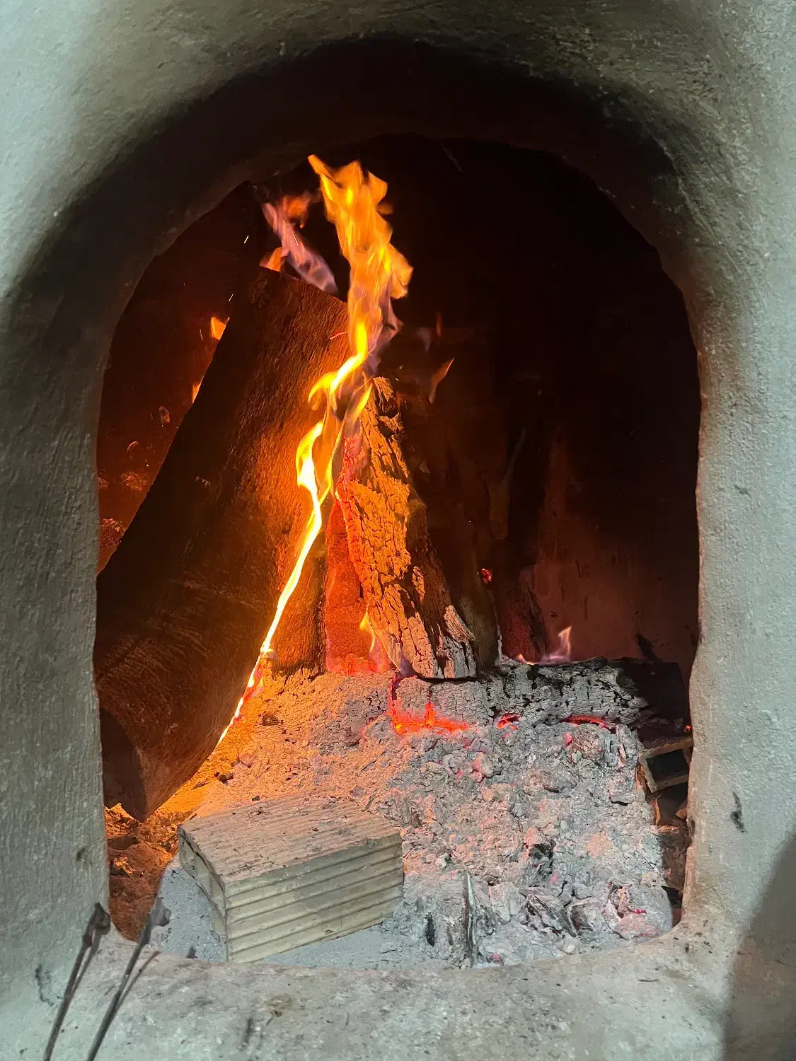 اجاره گلدونی