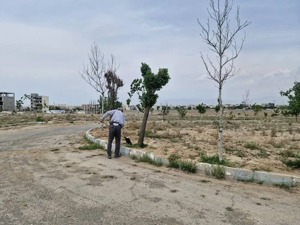 زمین با سند شش دانگ