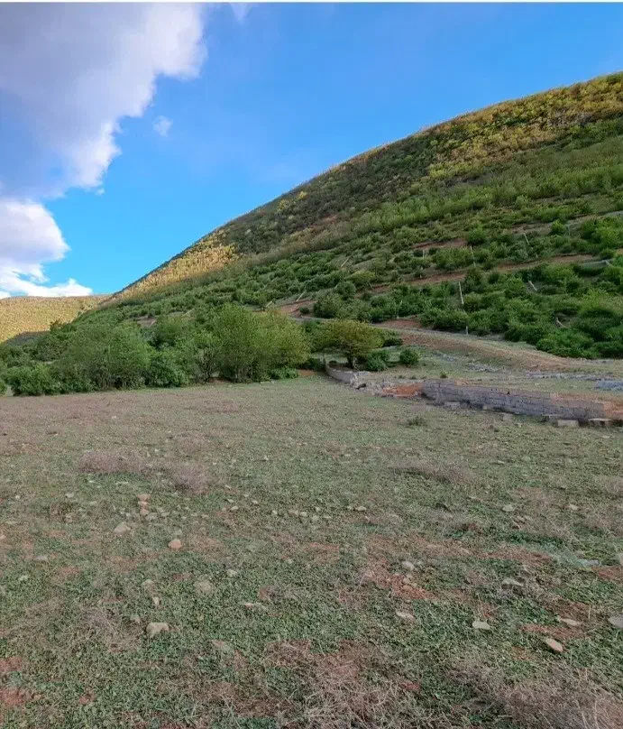 زمین کشاورزی کجور اسلام آباد