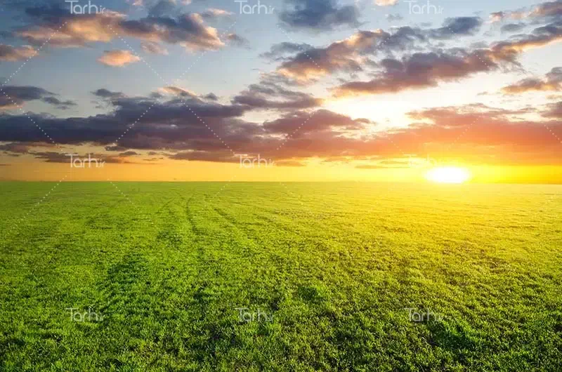 زمین باغی و کشاورزی