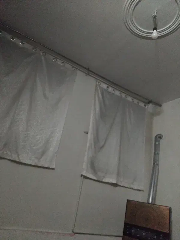 همخانه خانم موجه