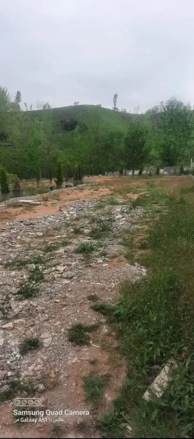 فروش زمین ۲۵۰ متری مسکونی در لاهیجان