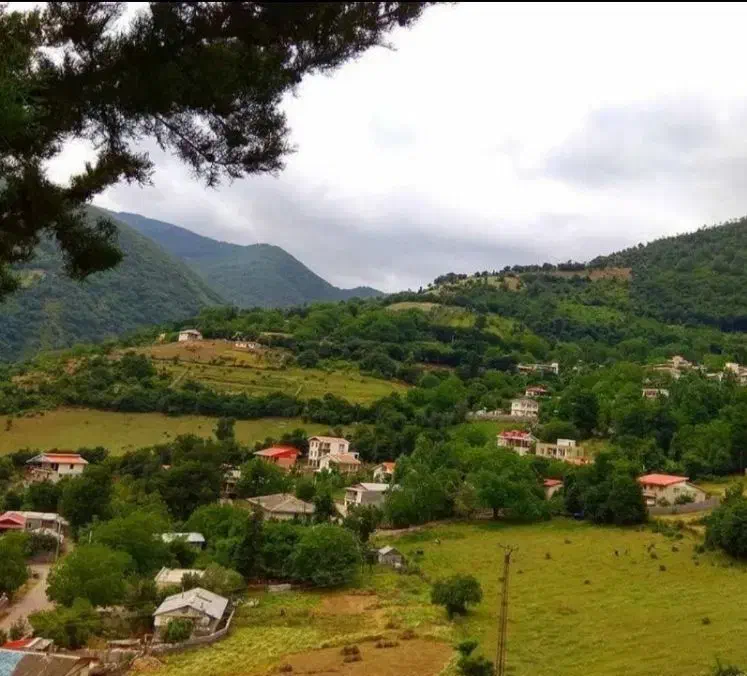 فروش زمین ویوو ابدی در شمال