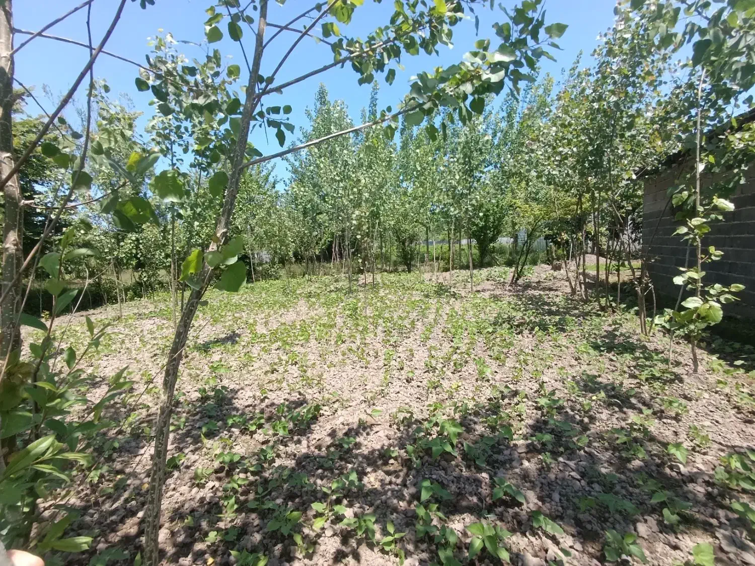 زمین مسکونی 270 فخرآباد