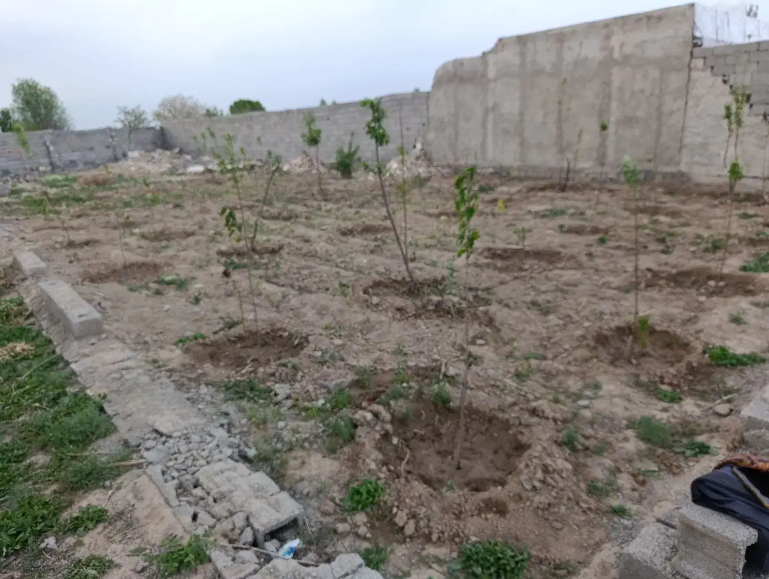 اجاره زمین بحر بلوار پیام