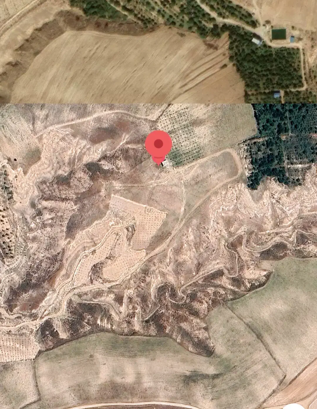 اجاره زمین کاشت بوستان